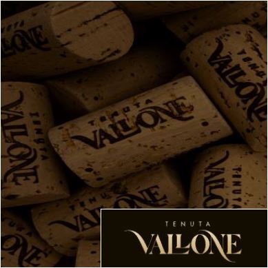 MONFERRATO Nebbiolo Superiore DOC