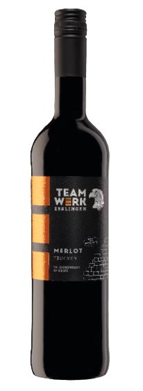 Merlot trocken Wein aus Steillagen / Im Eichenfass gereift