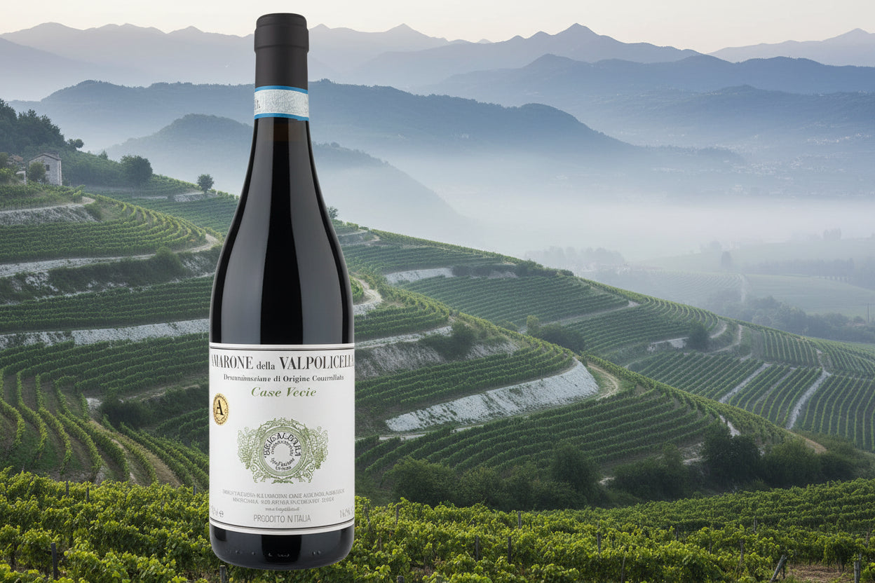 Brigaldara Amarone Cavolo DOC 2013