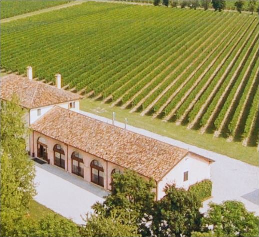 MANZONI BIANCO DOC VENEZIA