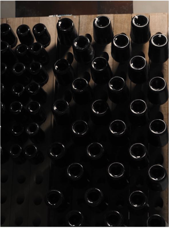 THEE BUBBLÉ – Tea Sparkling (alkoholfrei)