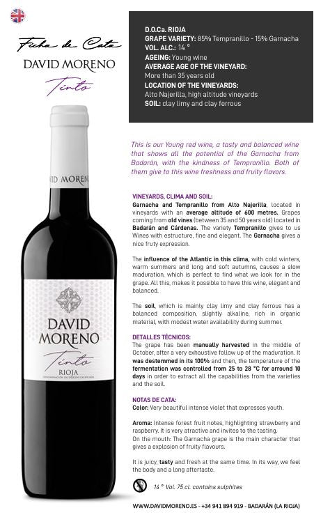 David Moreno Tinto