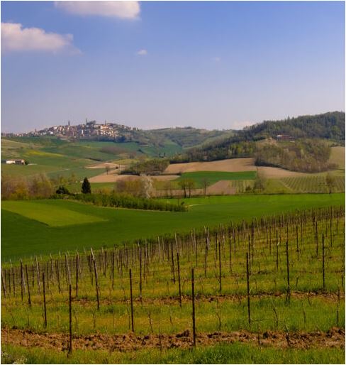 Barbera d'Asti DOCG
