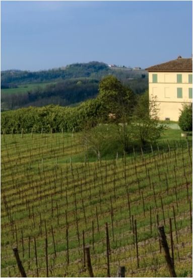 Barbera d'Asti DOCG Superiore