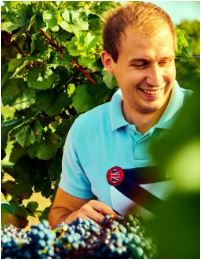 Blaufränkisch Thenau Weingut Lentsch Burgenland Leithaberg