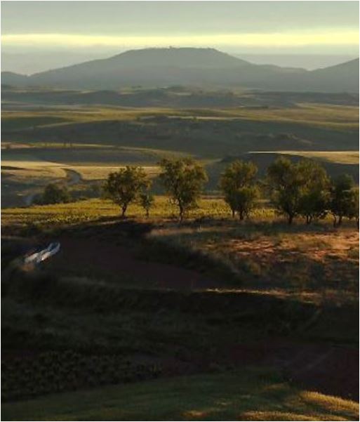 David Moreno Reserve