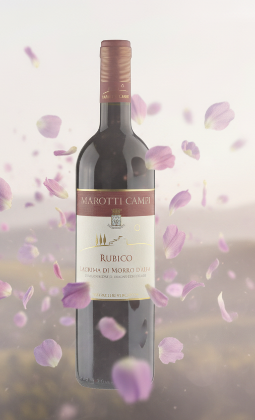 Marotti Campi Lacrima Rubico 2018 DOC
