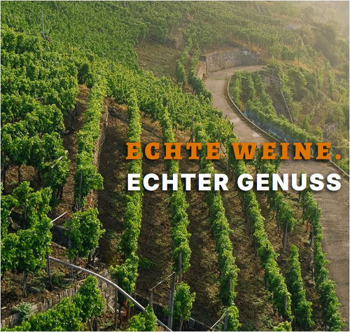 2020 Lemberger trocken Wein aus Steillage