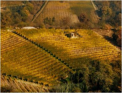 “San Vito” Roero Arneis DOCG 2021