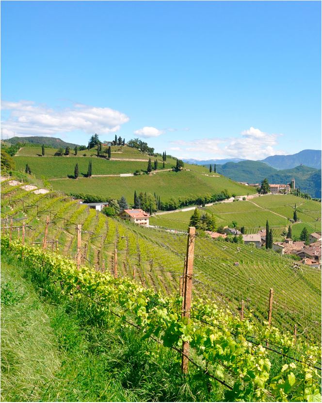 Chardonnay “Pilat” 2022 Südtirol DOC