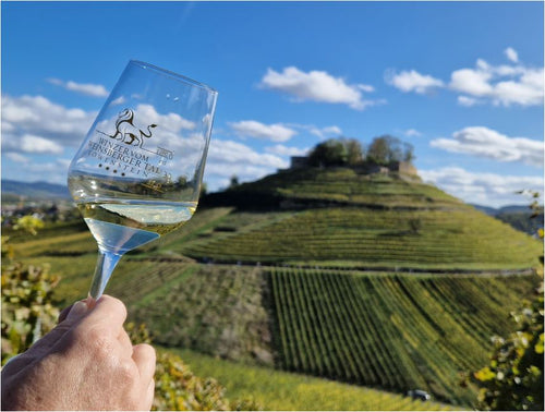 Chardonnay „Noblesse“ 🔵 Seidig & Fein
🟣 Cremig & Texturiert