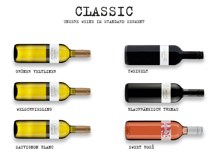 Sauvignon Blanc Weingut Lentsch Burgenland Leithaberg