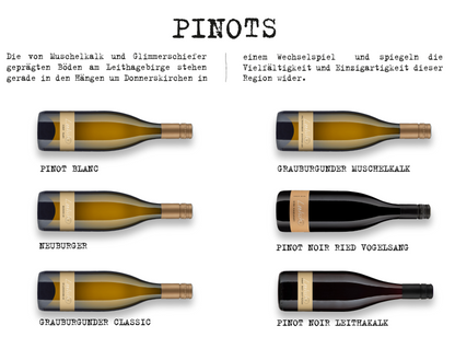 Blaufränkisch Ried Goldberg Weingut Lentsch Burgenland Leithaberg Österreich